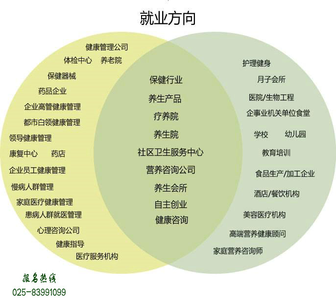 健康管理师与营养咨询 打造个性化营养健康方案的关键角色